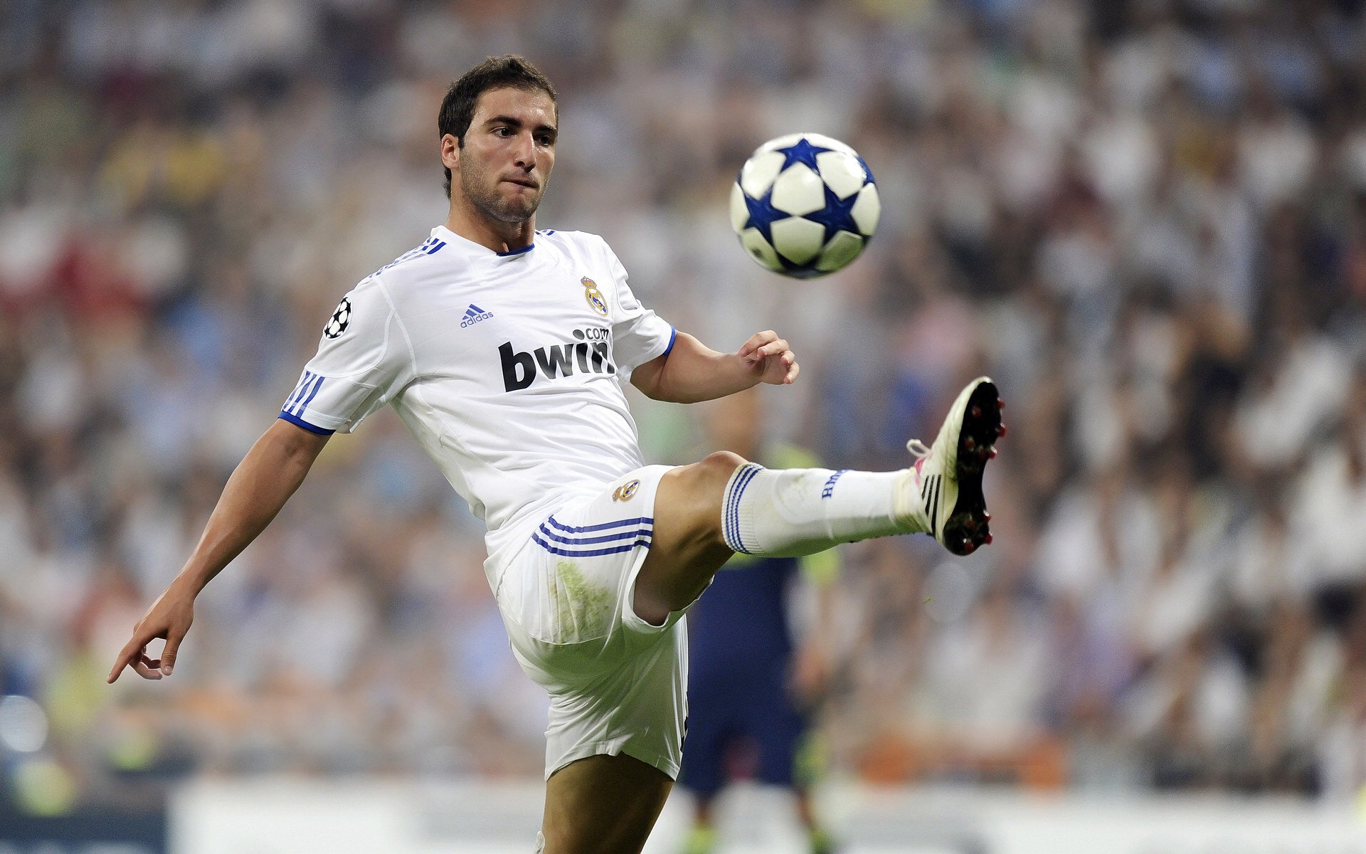 德甲火热展开！领头羊稳扎稳打，争冠悬念依旧，德甲顶级球队